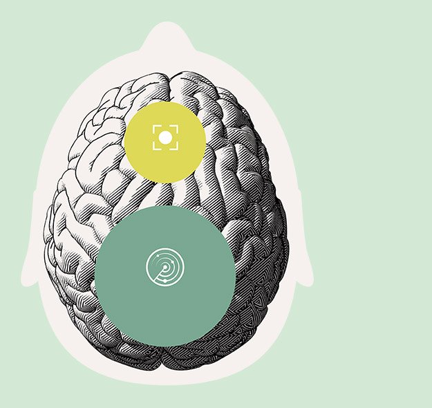 Illustration highlighting brain regions associated with hearing and focus, depicted with overlaying icons.